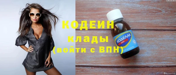 гидра Арсеньев