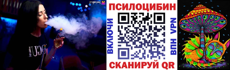 omg маркетплейс  Бугульма  Псилоцибиновые грибы прущие грибы 